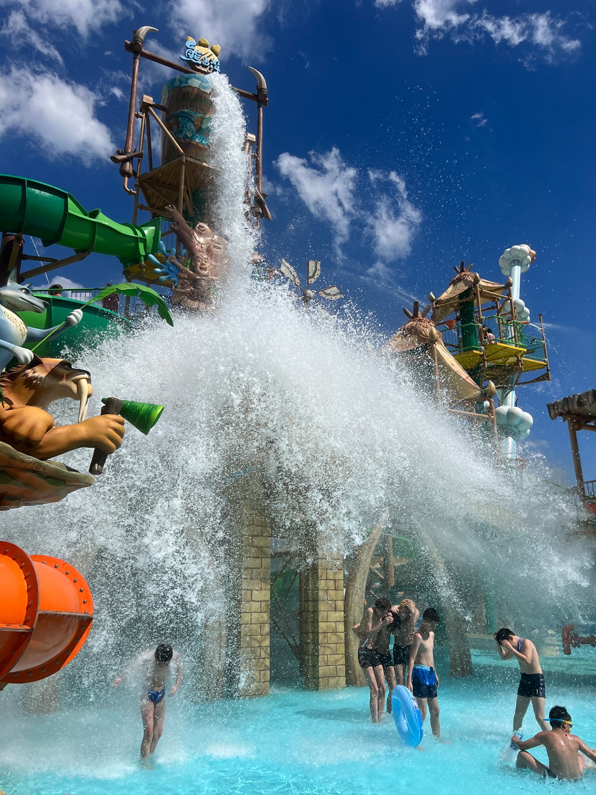 1764314981900086482.jpg 1764314981900086482.jpg